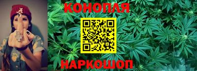 apvp Аша